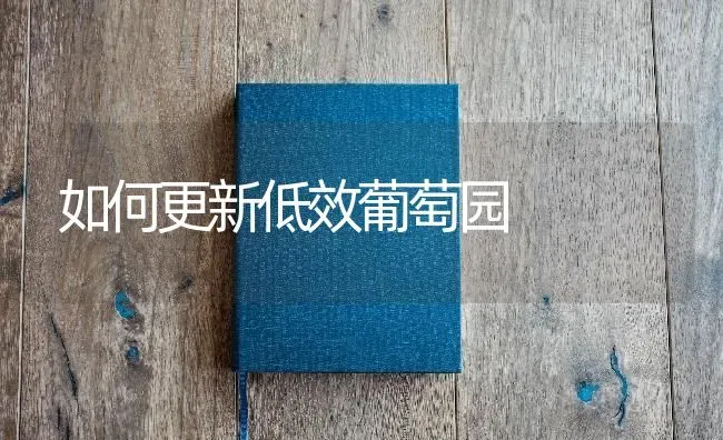 如何更新低效葡萄园 | 瓜果种植