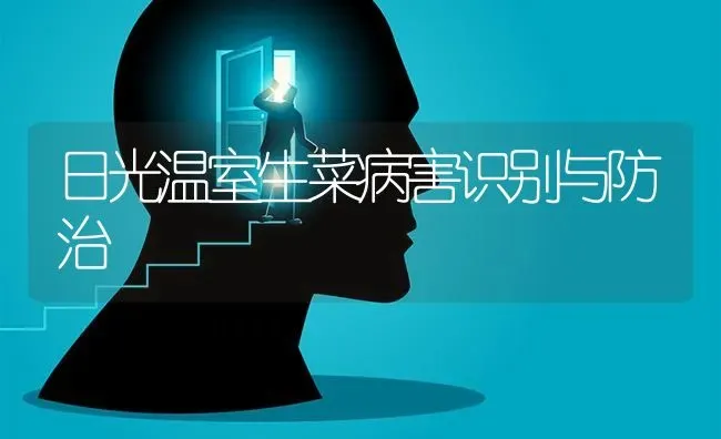 日光温室生菜病害识别与防治 | 蔬菜种植