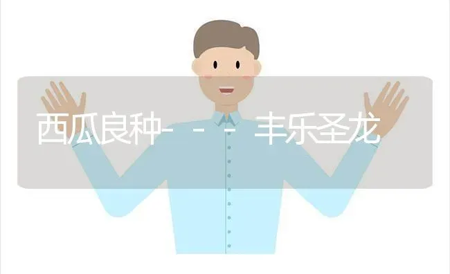 西瓜良种---丰乐圣龙 | 瓜果种植