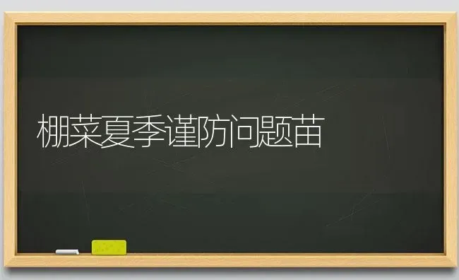 棚菜夏季谨防问题苗 | 蔬菜种植