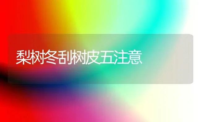 梨树冬刮树皮五注意 | 瓜果种植