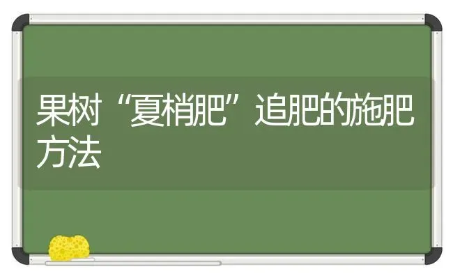 果树“夏梢肥”追肥的施肥方法 | 瓜果种植