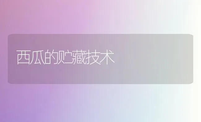 西瓜的贮藏技术 | 瓜果种植