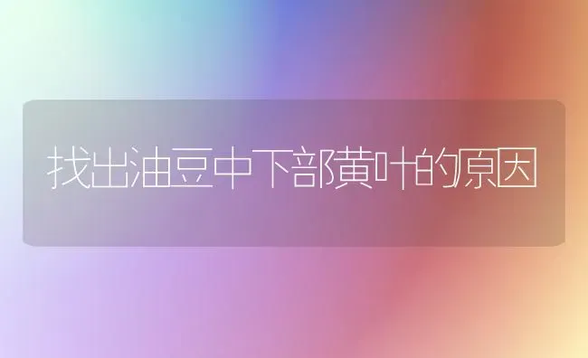 苹果早期落叶病和锈病的防控 | 瓜果种植