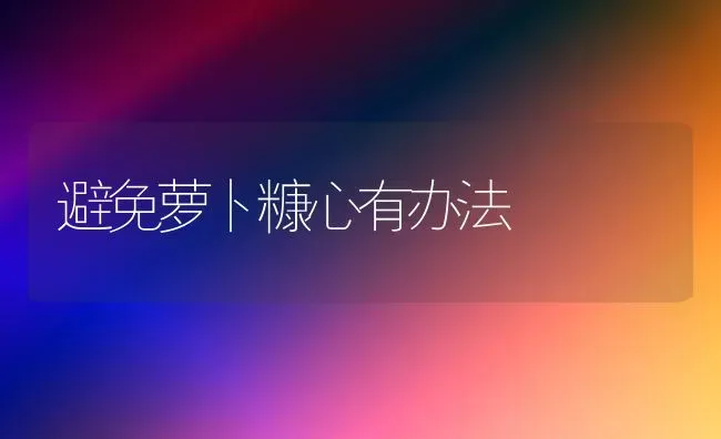 避免萝卜糠心有办法 | 蔬菜种植