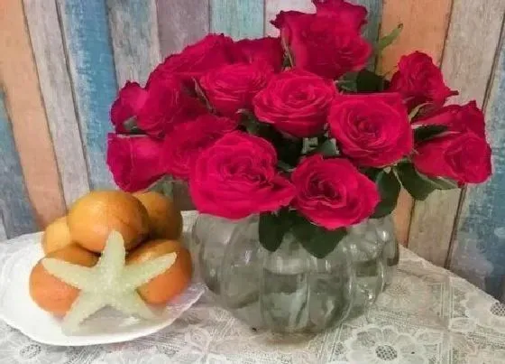 花语|玫瑰花花语及代表意义