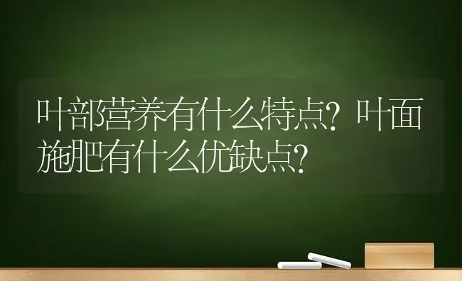 叶部营养有什么特点？叶面施肥有什么优缺点？ | 种植肥料施肥