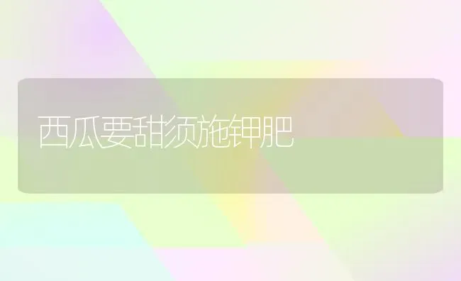 西瓜要甜须施钾肥 | 瓜果种植