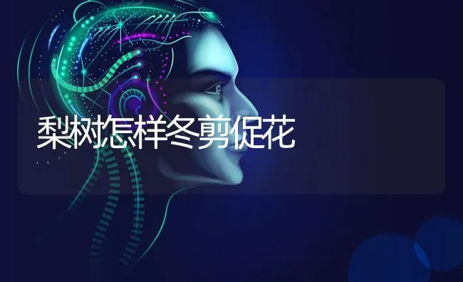 梨树怎样冬剪促花 | 瓜果种植