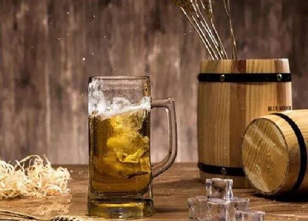 植物浇水|君子兰可以用啤酒浇吗