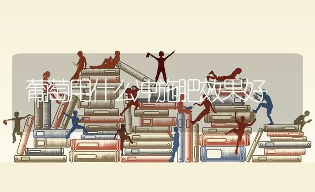 葡萄用什么冲施肥效果好 | 瓜果种植