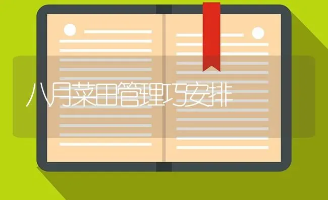 八月菜田管理巧安排 | 蔬菜种植