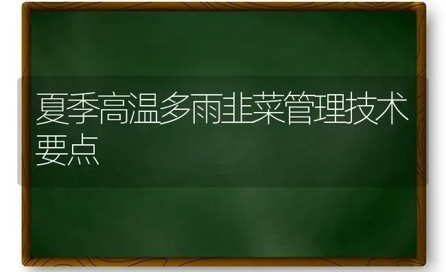 夏季高温多雨韭菜管理技术要点 | 蔬菜种植