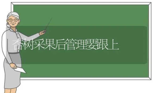 杏树采果后管理要跟上 | 瓜果种植
