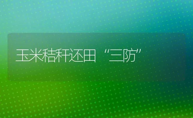 玉米秸秆还田“三防” | 粮油作物种植