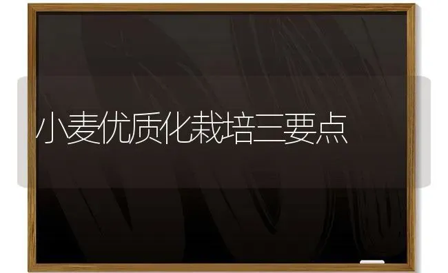 小麦优质化栽培三要点 | 粮油作物种植