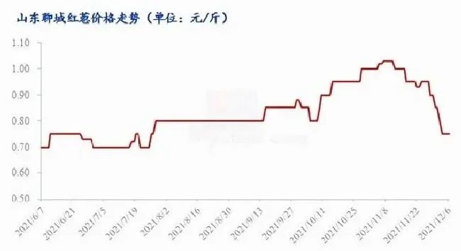 植物价格|预测2022年洋葱价格（关于明年洋葱价格行情和走势）