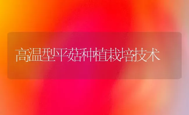 高温型平菇种植栽培技术 | 食用菌种植