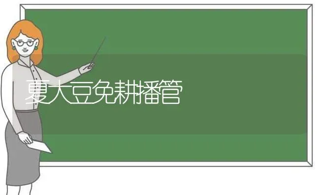 夏大豆免耕播管 | 粮油作物种植