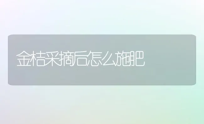 金桔采摘后怎么施肥 | 种植肥料施肥