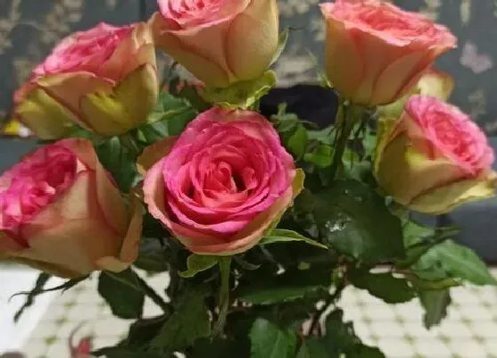 花卉百科|玫瑰花怎么做干花花束不变色 干玫瑰制作方法