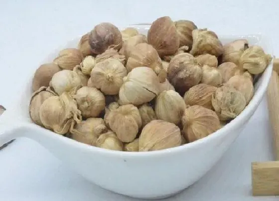 食用科普|香辛料是什么调料对人体有害吗（食品配料中香辛料指什么）