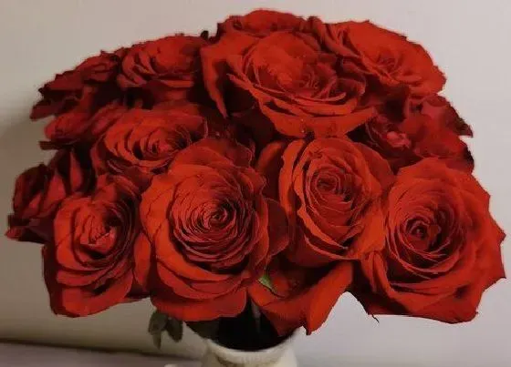 花卉百科|玫瑰花怎么做干花花束不变色 干玫瑰制作方法