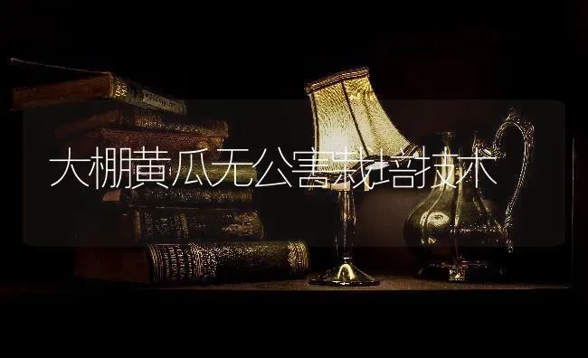 大棚黄瓜无公害栽培技术 | 蔬菜种植