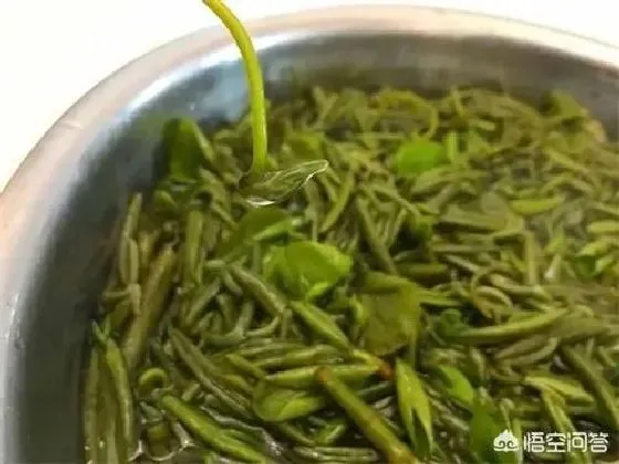 种植管理|莼菜种植适宜生长环境与气候特点，莼菜种子栽培技术）