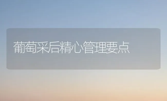 葡萄采后精心管理要点 | 瓜果种植
