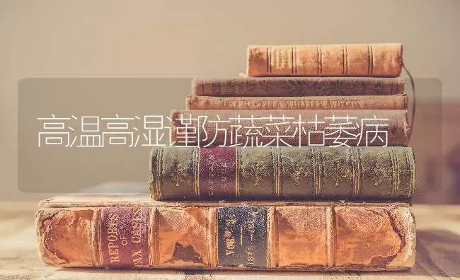 高温高湿谨防蔬菜枯萎病 | 蔬菜种植