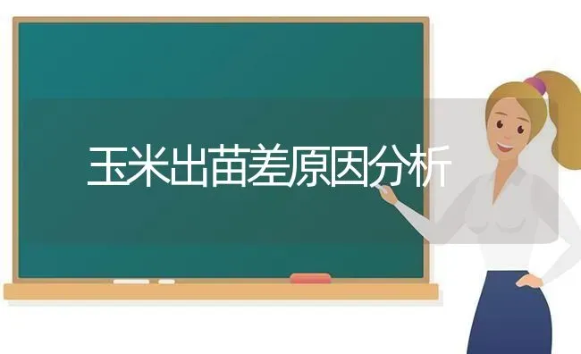 夏季多雨 如何防治猕猴桃病虫害 | 种植病虫害防治