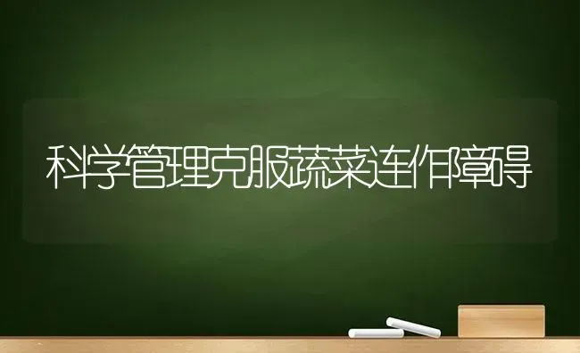 科学管理克服蔬菜连作障碍 | 蔬菜种植