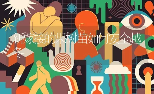 新嫁接的果树苗如何安全越冬 | 瓜果种植