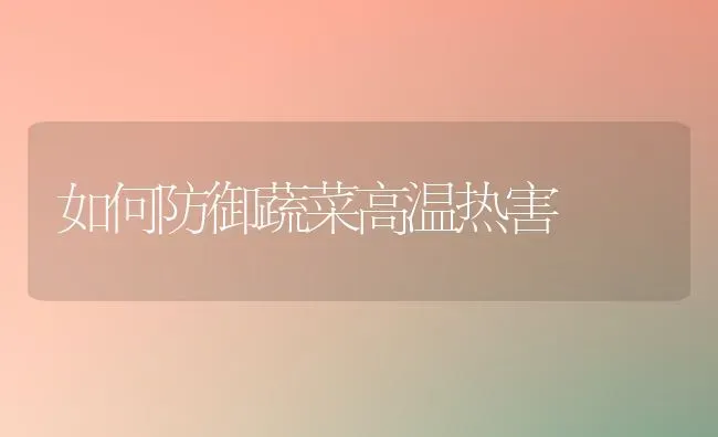 如何防御蔬菜高温热害 | 蔬菜种植