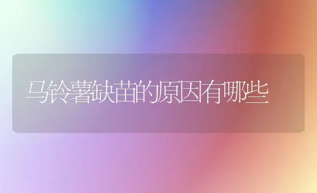 马铃薯缺苗的原因有哪些 | 粮油作物种植