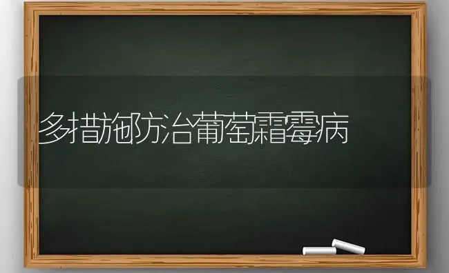 多措施防治葡萄霜霉病 | 瓜果种植