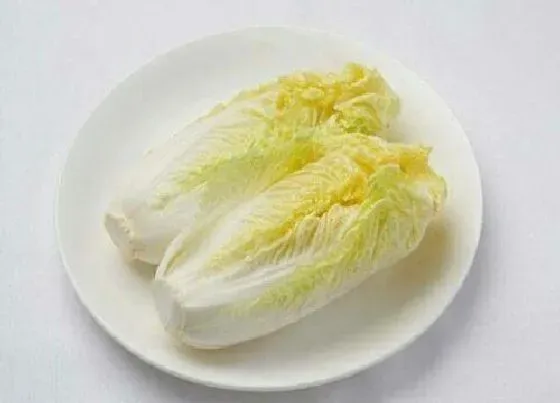 食用科普|娃娃菜可以生吃吗