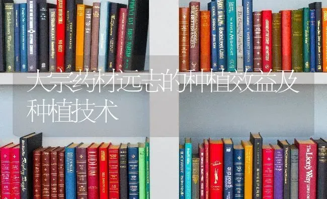 大宗药材远志的种植效益及种植技术 | 药材种植