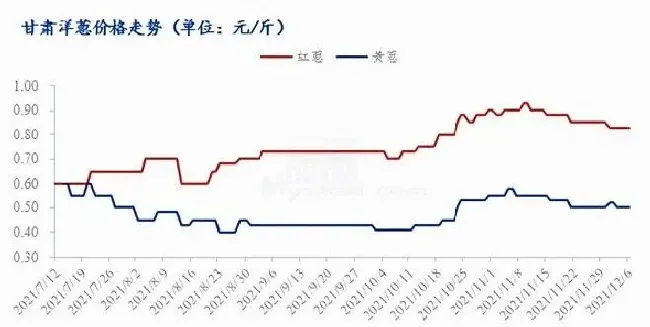 植物价格|预测2022年洋葱价格（关于明年洋葱价格行情和走势）