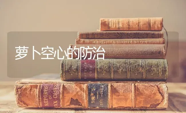 萝卜空心的防治 | 蔬菜种植