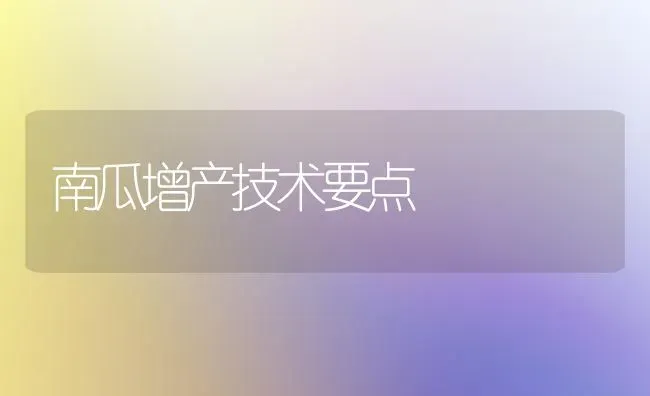 南瓜增产技术要点 | 蔬菜种植