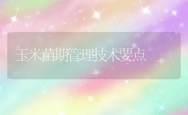 玉米苗期管理技术要点 | 粮油作物种植