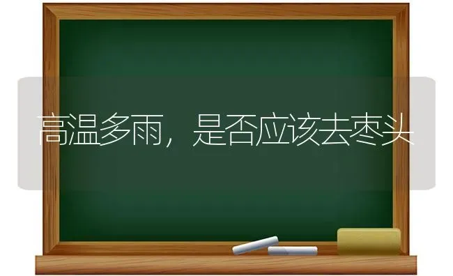 高温多雨，是否应该去枣头 | 瓜果种植