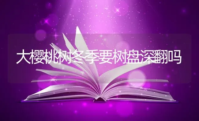大樱桃树冬季要树盘深翻吗 | 瓜果种植