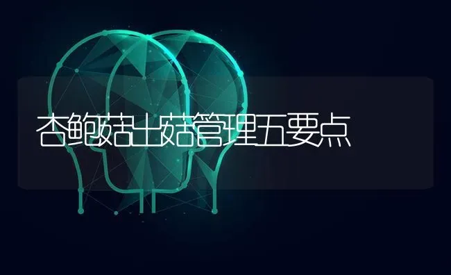 杏鲍菇出菇管理五要点 | 食用菌种植