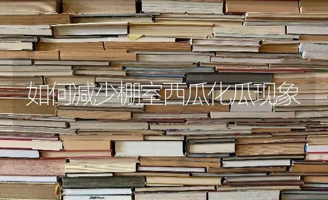 如何减少棚室西瓜化瓜现象 | 瓜果种植
