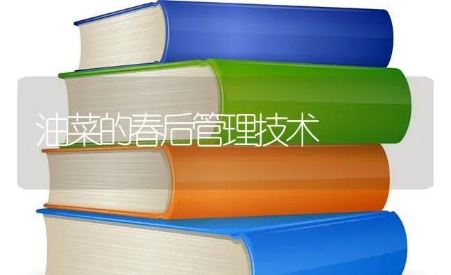 油菜的春后管理技术 | 粮油作物种植