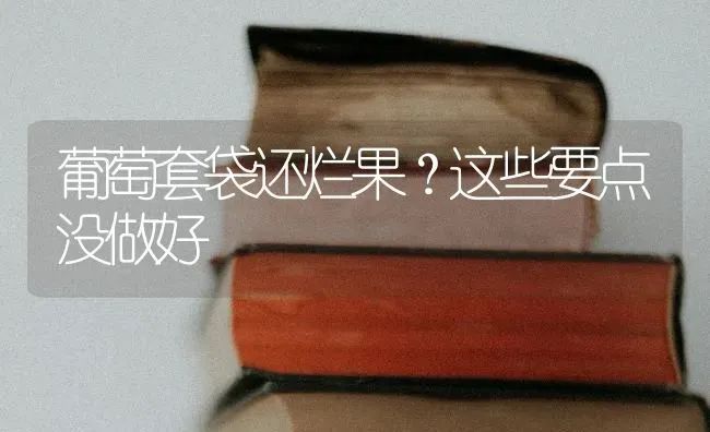 葡萄套袋还烂果？这些要点没做好 | 瓜果种植