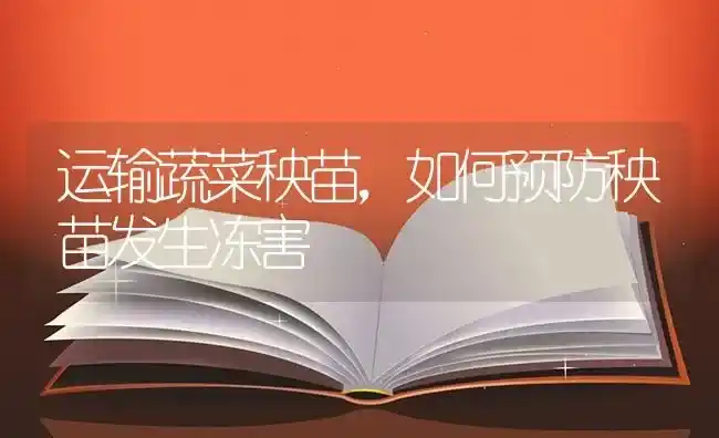 运输蔬菜秧苗，如何预防秧苗发生冻害 | 蔬菜种植